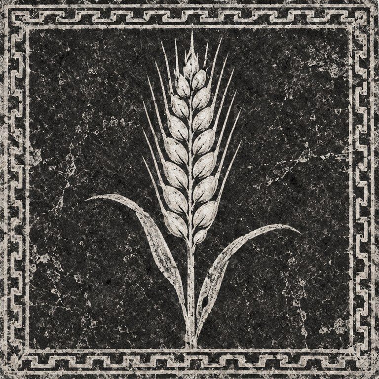 麦穗