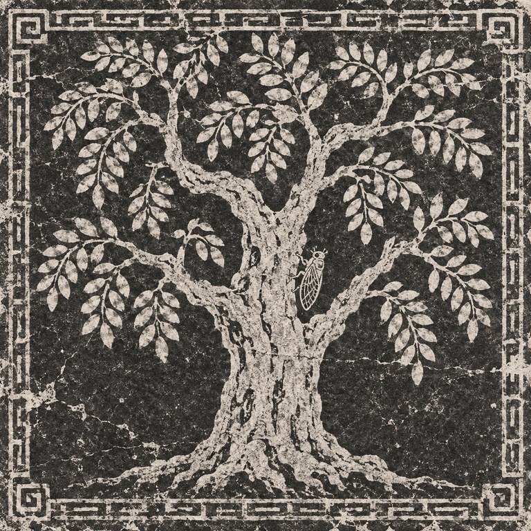 槐树