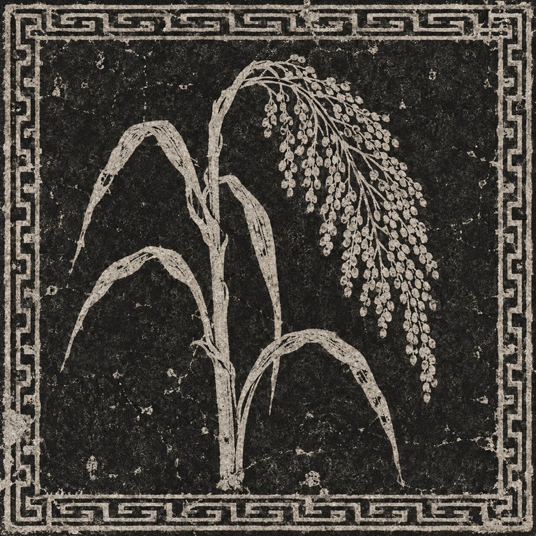 糜子